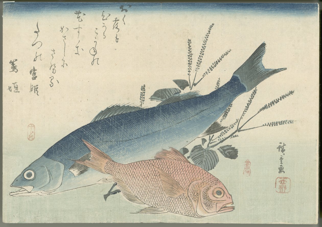 Japán tengeri sügér, aranyszemű tengeri durbincs és shiso növény alkotó: Utagawa Hiroshige