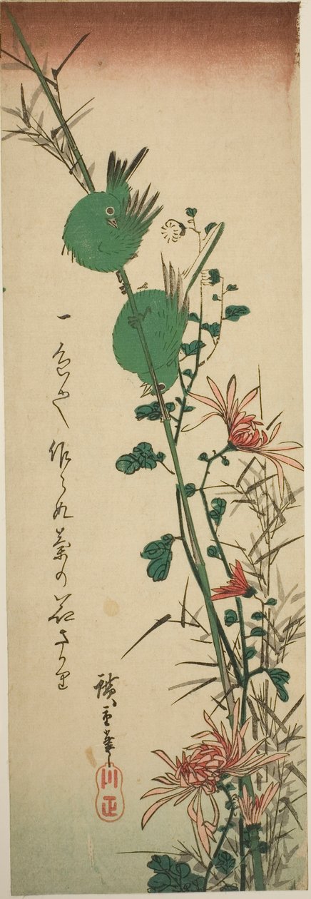 Japán fehér szem és krizantém alkotó: Utagawa Hiroshige