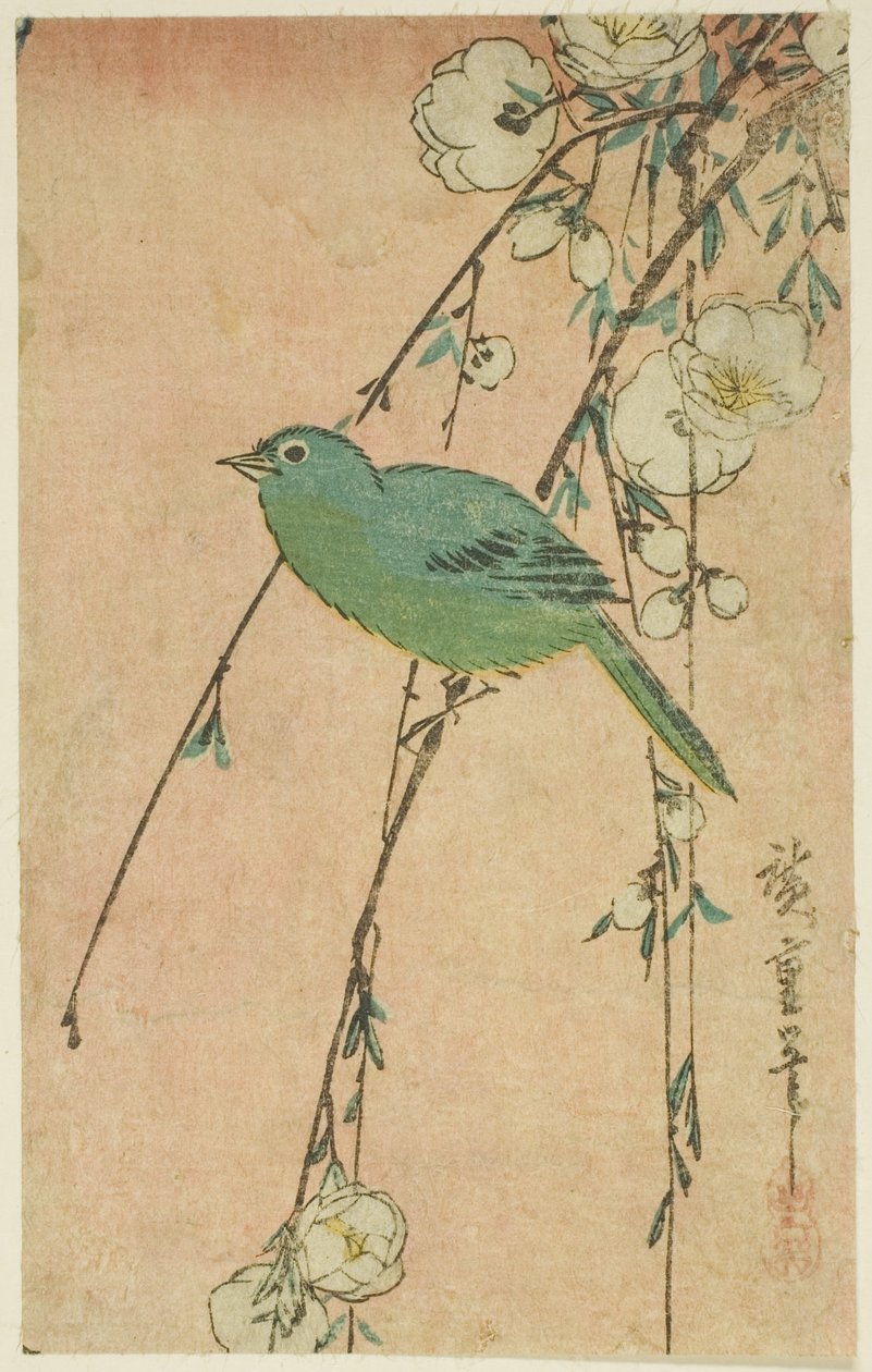 Japán fehérszemű és síró cseresznye alkotó: Utagawa Hiroshige