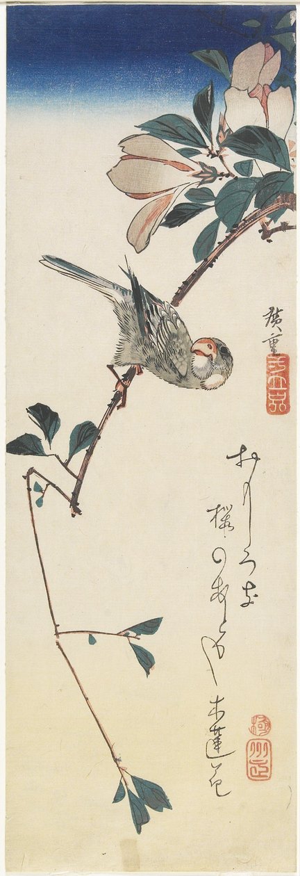 Jávai veréb és magnólia, 1834-1839 alkotó: Utagawa Hiroshige