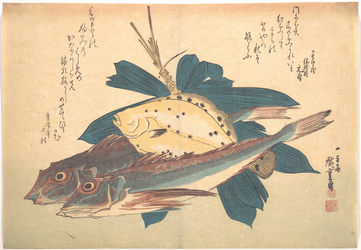 Kanagashira- és Karei-hal, az Uozukushi sorozatból (Mindenféle hal) alkotó: Utagawa Hiroshige
