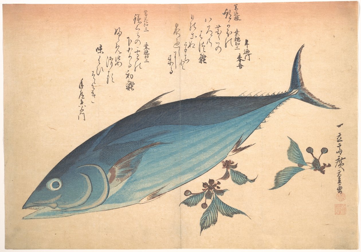 Katsuo hal cseresznyebimbókkal, az Uozukushi sorozatból (Mindenféle hal) alkotó: Utagawa Hiroshige