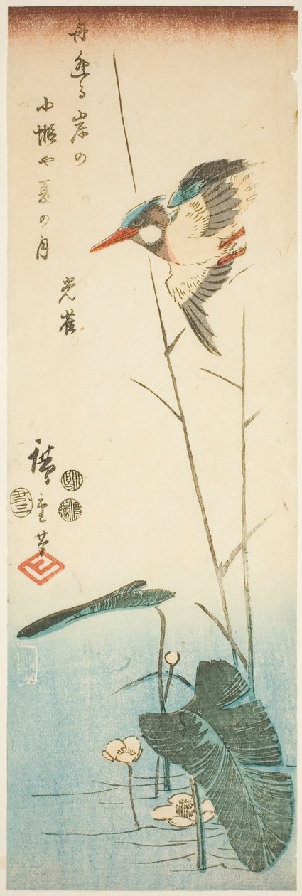 Jégmadár egy sárga virágú vízinövény felett alkotó: Utagawa Hiroshige