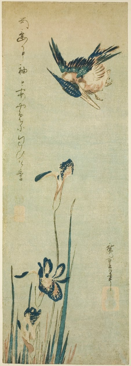 Jégmadár és írisz alkotó: Utagawa Hiroshige