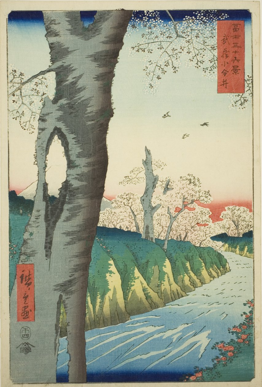 Koganei Musashi tartományban (Musashi Koganei), a "Harminchat kilátás a Fuji-hegyre (Fuji sanjurokkei)" sorozatból alkotó: Utagawa Hiroshige