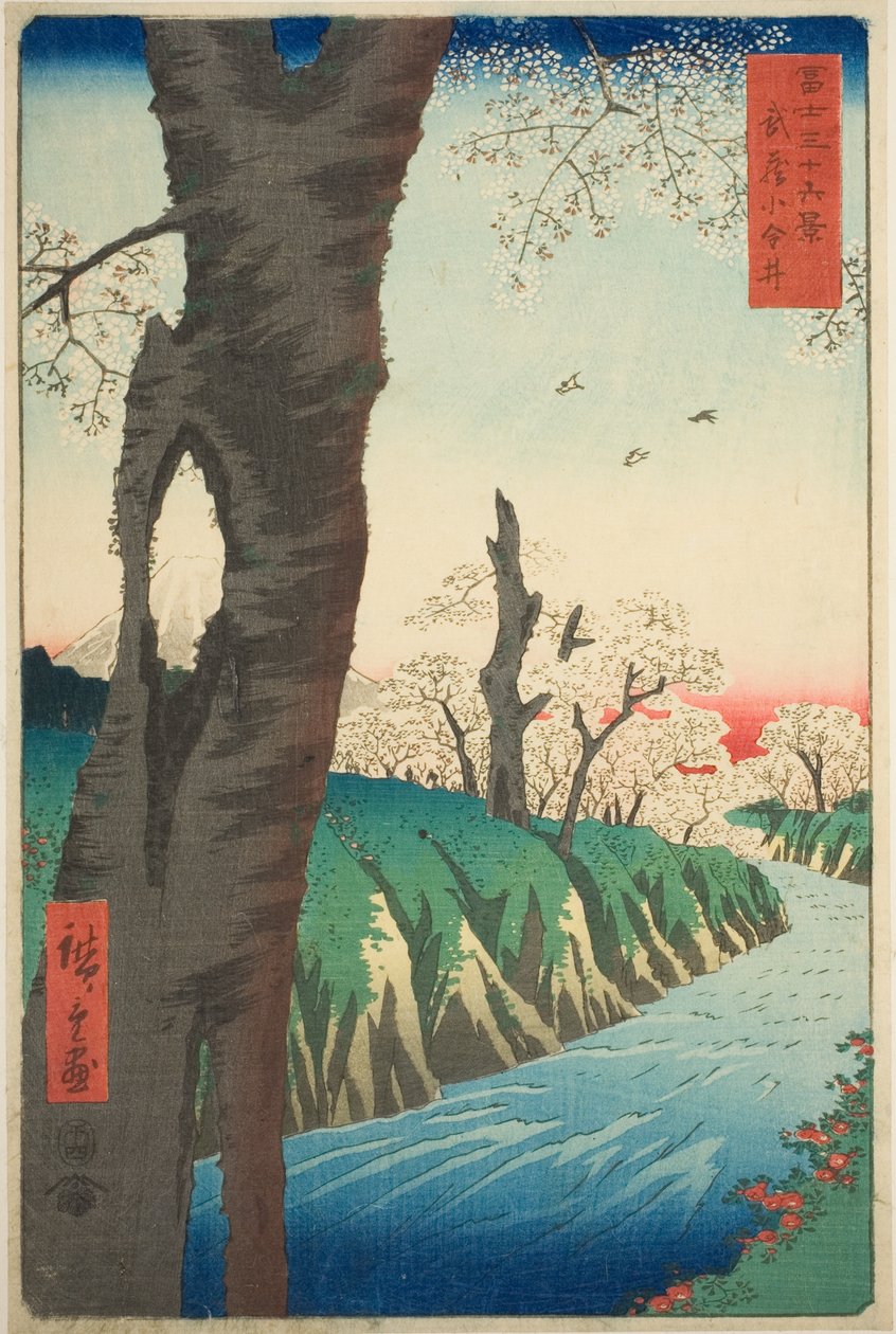 Koganei Musashi tartományban (Musashi Koganei), a "Harminchat kilátás a Fuji-hegyre (Fuji sanjurokkei)" sorozatból alkotó: Utagawa Hiroshige