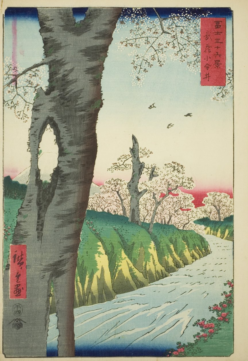 Koganei Musashi tartományban (Musashi Koganei), a "Harminchat kilátás a Fuji-hegyre (Fuji sanjurokkei)" sorozatból alkotó: Utagawa Hiroshige
