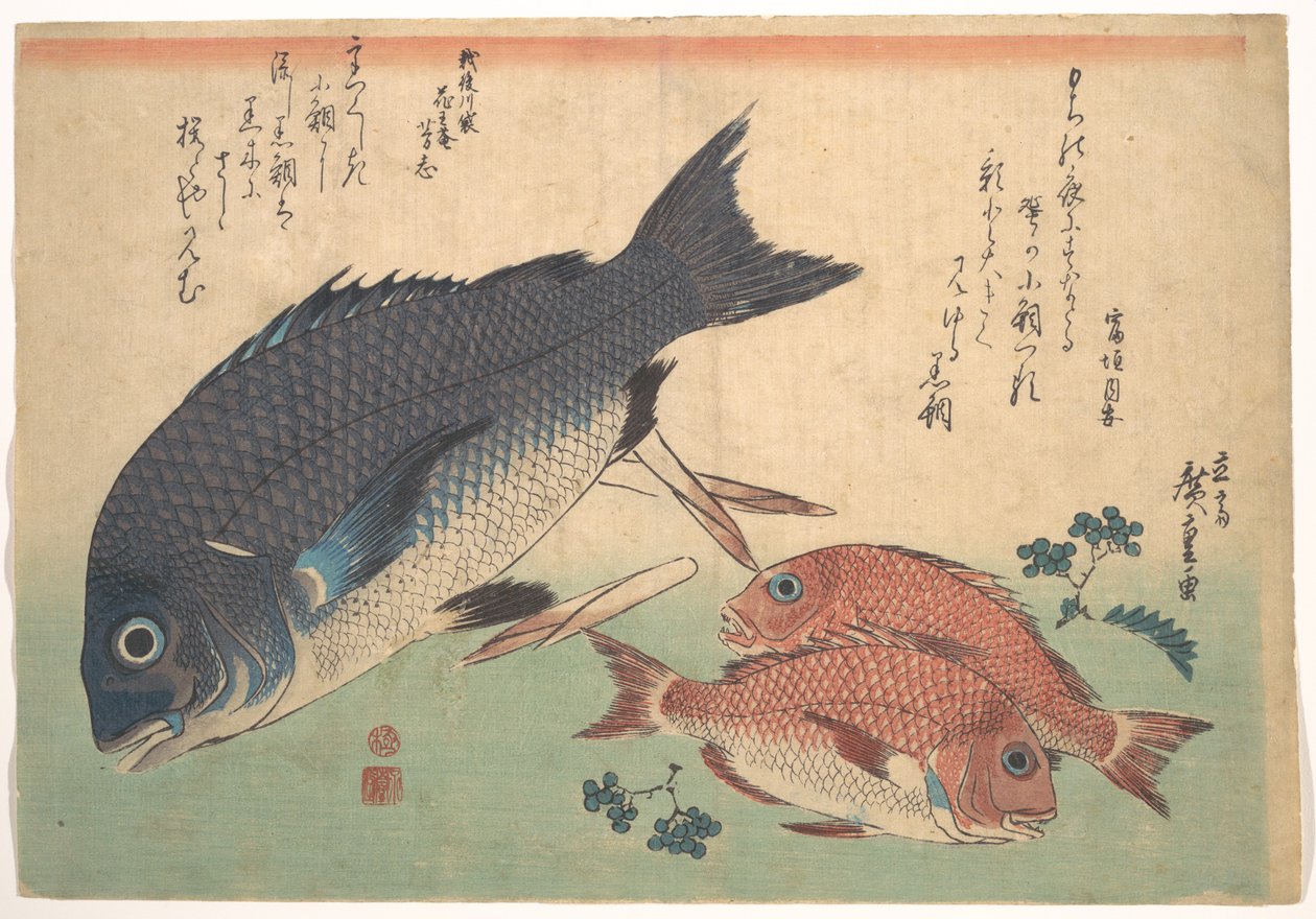 Kurodai és Kodai halak bambuszrügyekkel és bogyókkal, az „Uozukushi” (Mindenféle hal) sorozatból alkotó: Utagawa Hiroshige