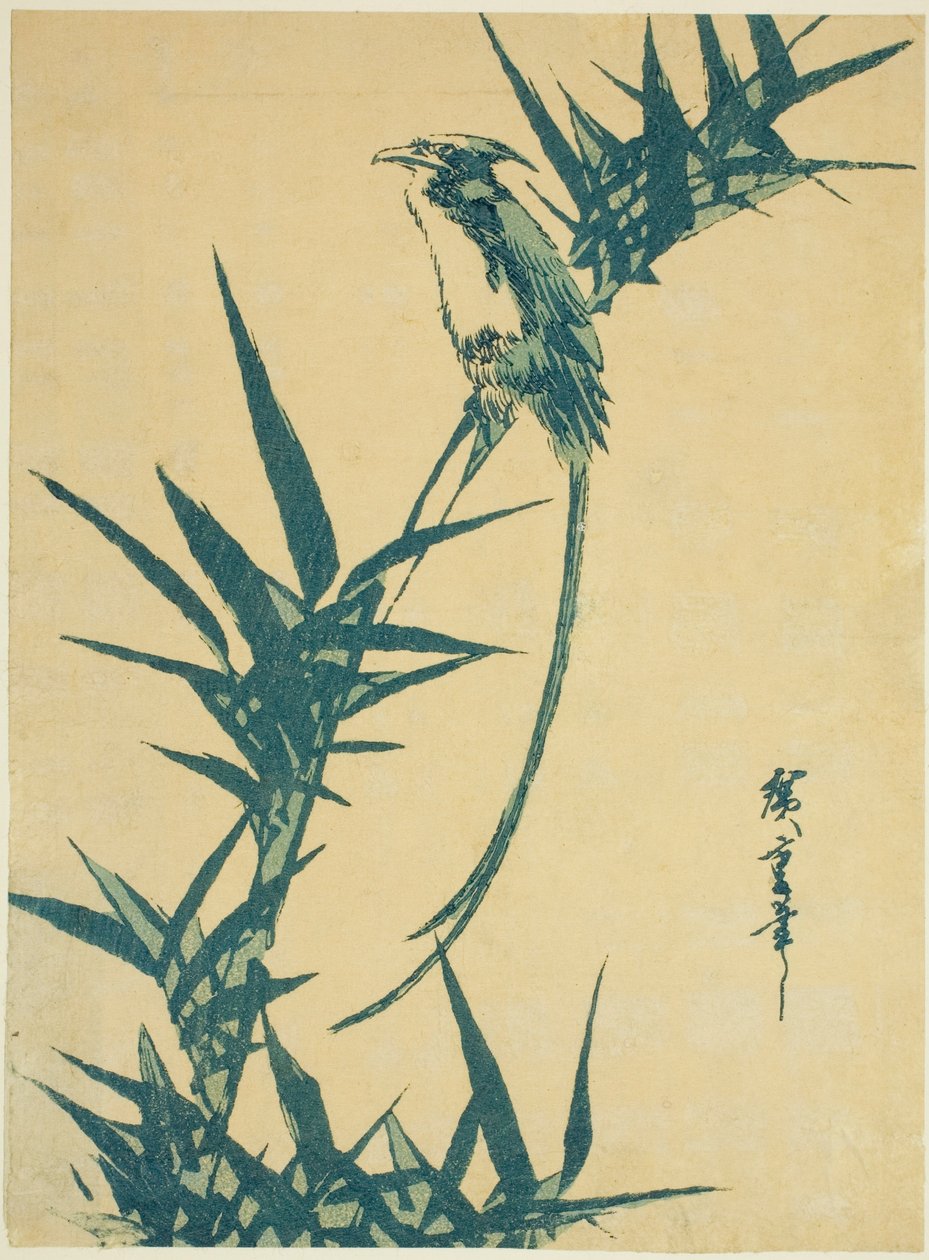 Hosszú farkú madár és bambusz alkotó: Utagawa Hiroshige