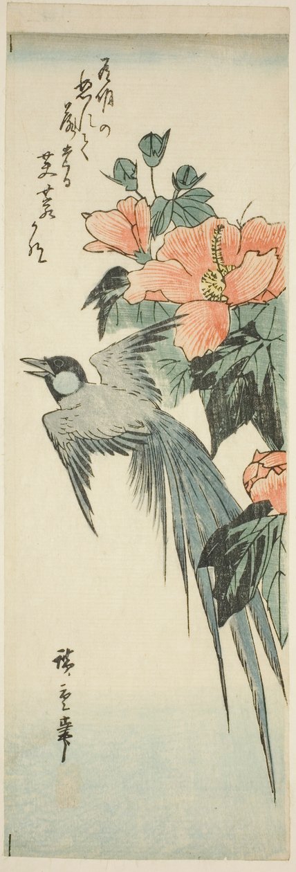 Hosszú farkú madár és hibiszkusz alkotó: Utagawa Hiroshige