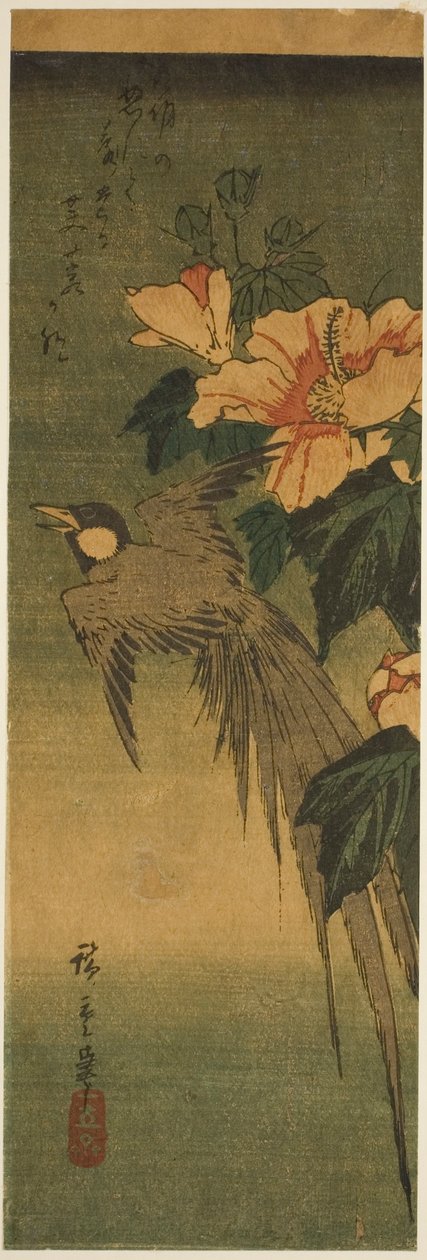 Hosszú farkú madár és hibiszkusz alkotó: Utagawa Hiroshige
