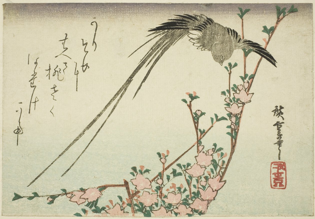 Hosszú farkú madár és őszibarack virágok alkotó: Utagawa Hiroshige