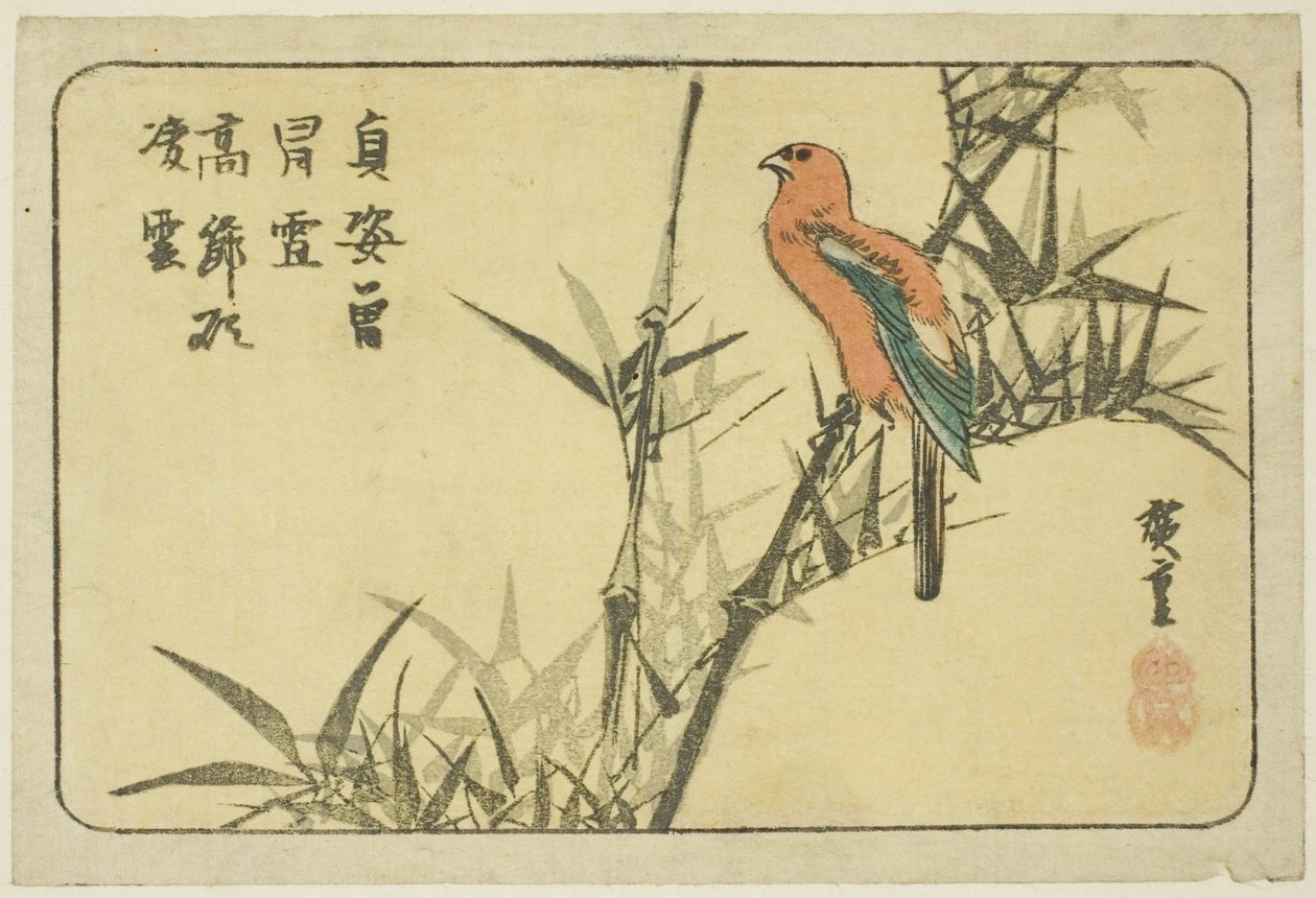 Ara és bambusz alkotó: Utagawa Hiroshige