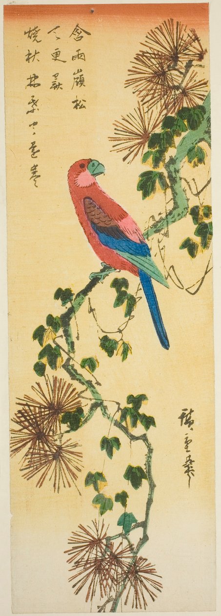 Arakáva borostyánnal borított fenyőágon alkotó: Utagawa Hiroshige