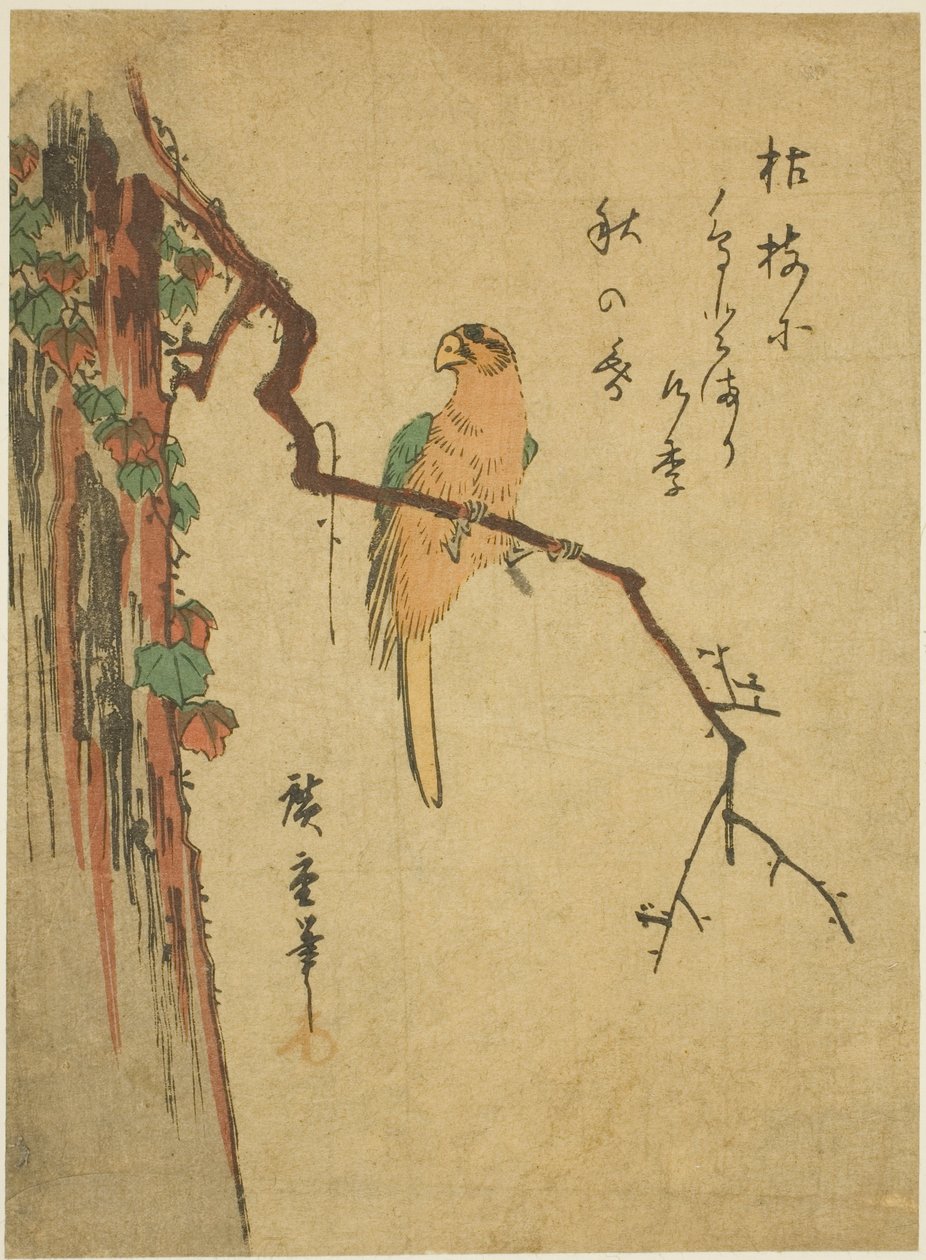 Ara borostyánnal borított fán alkotó: Utagawa Hiroshige