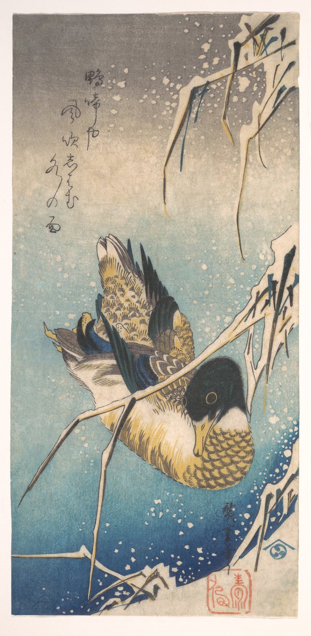 Tőkés réce és hóval borított nádas alkotó: Utagawa Hiroshige