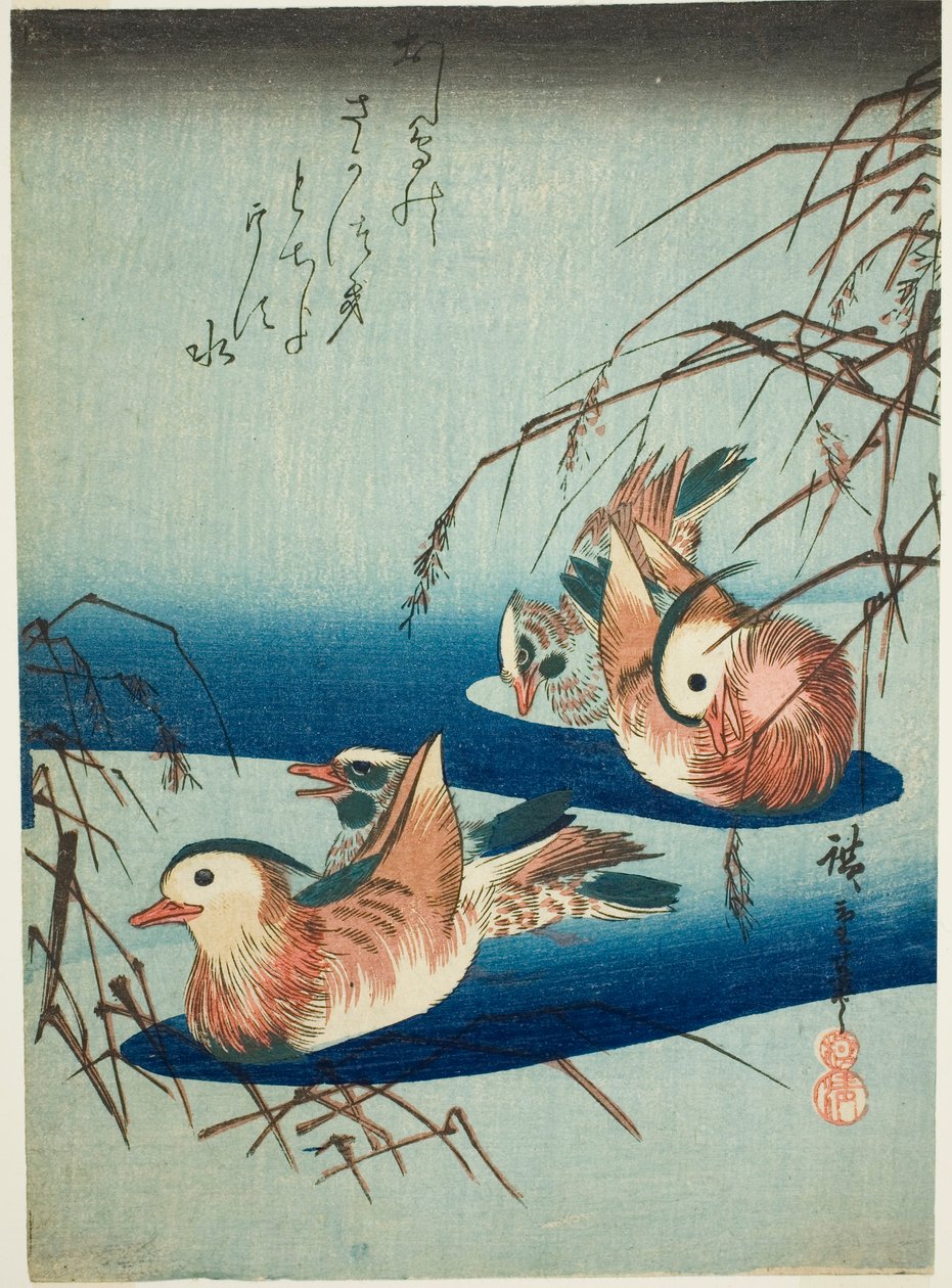 Mandarin kacsa alkotó: Utagawa Hiroshige