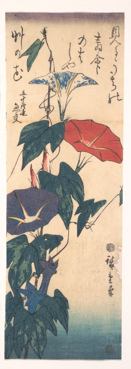 Prunkwinden alkotó: Utagawa Hiroshige