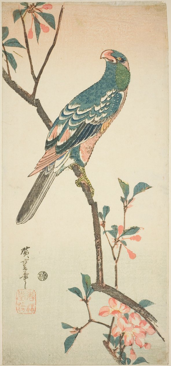 Papagáj egy virágzó ágon alkotó: Utagawa Hiroshige