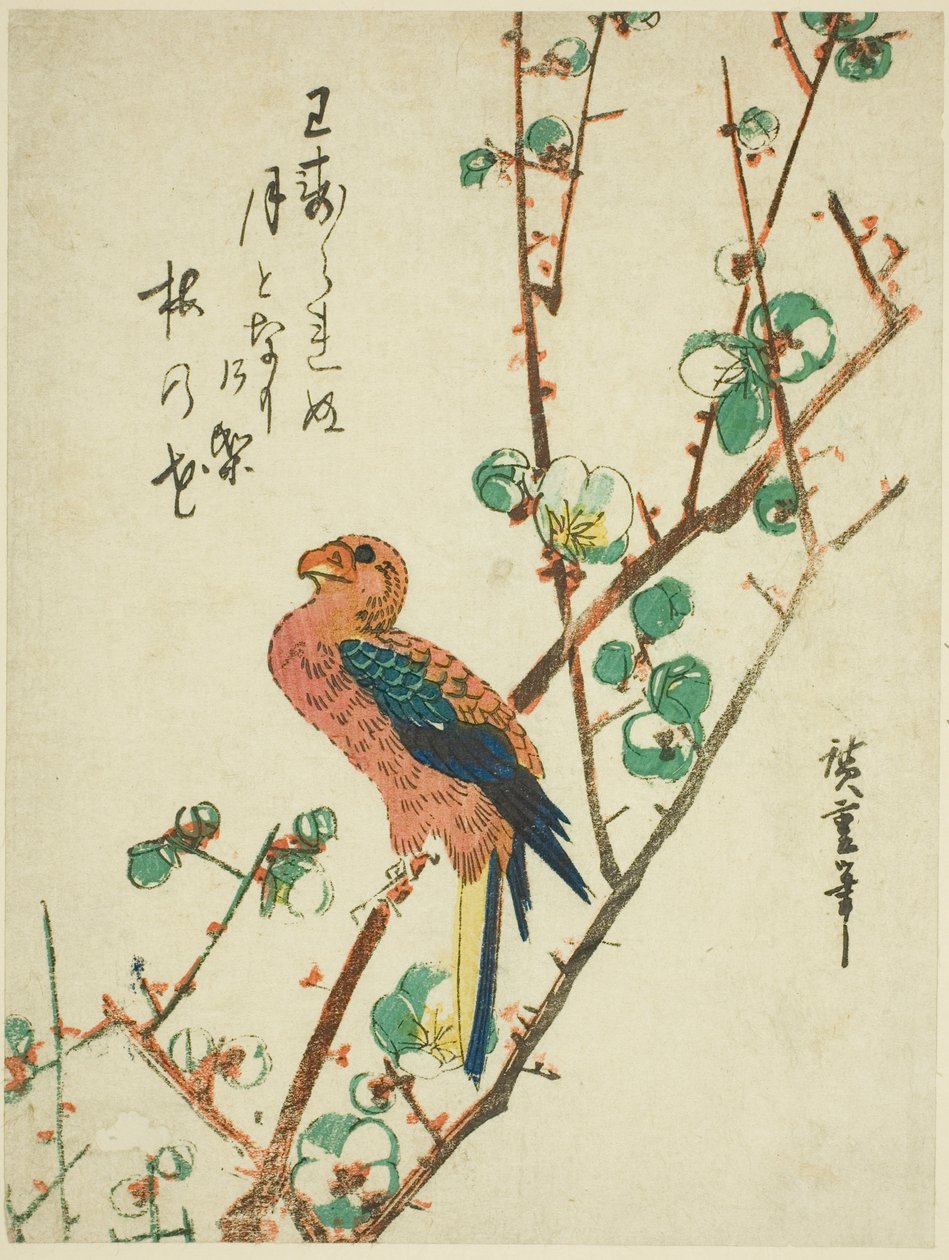 Papagáj a szilvafán alkotó: Utagawa Hiroshige