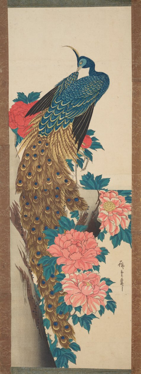Páva és pünkösdi rózsa / Botan ni kujaku alkotó: Utagawa Hiroshige