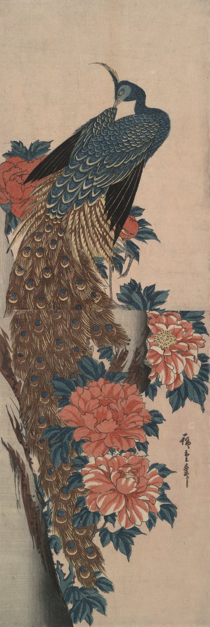Páva és pünkösdi rózsa alkotó: Utagawa Hiroshige