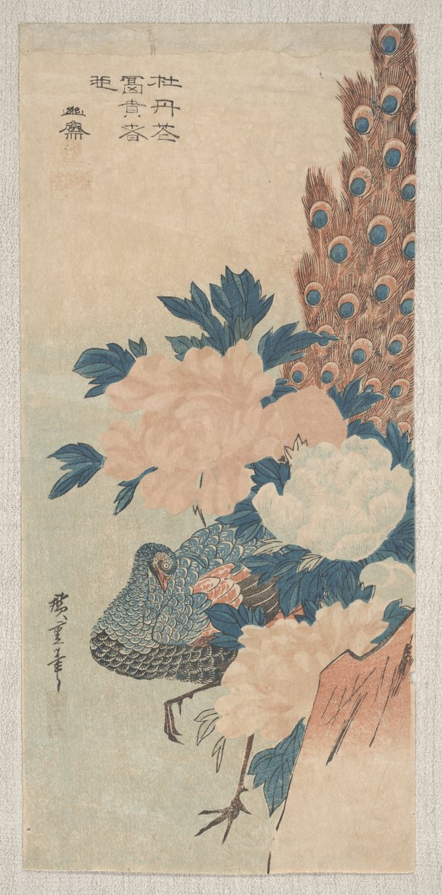 Páva és bazsarózsa, 1830 körül alkotó: Utagawa Hiroshige