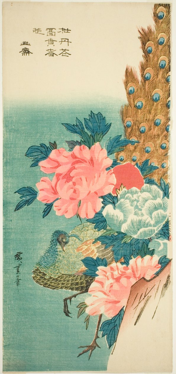 Páva és pünkösdi rózsa alkotó: Utagawa Hiroshige