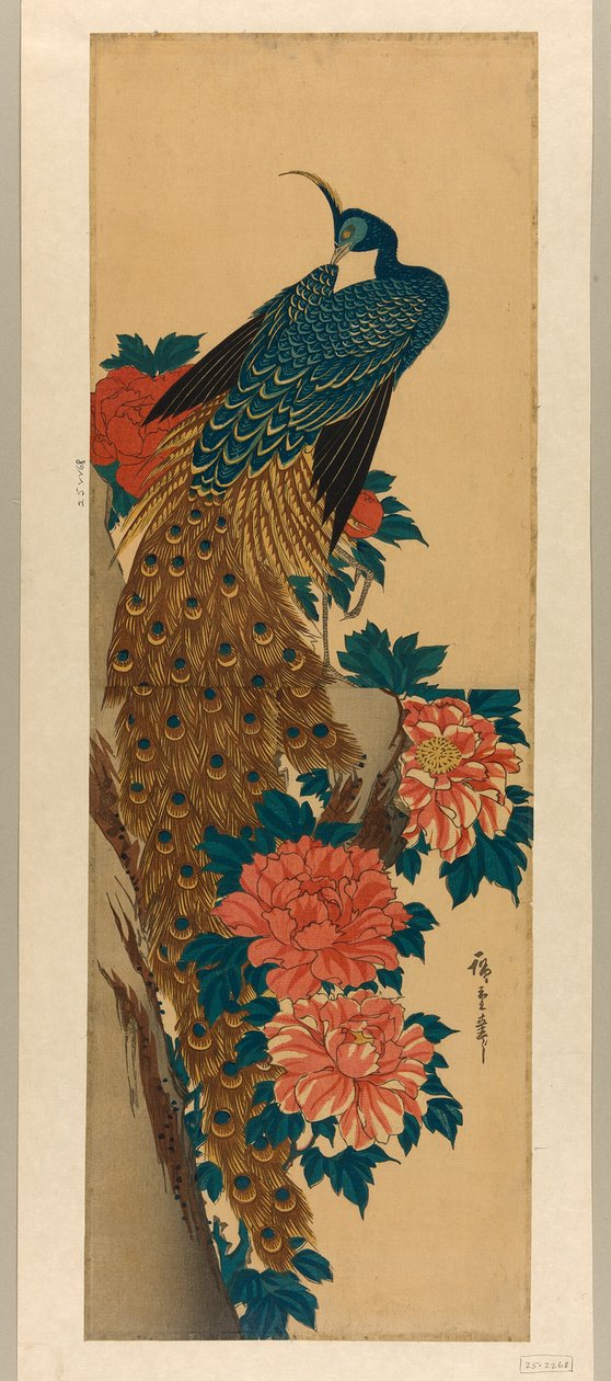 Páva és pünkösdi rózsa alkotó: Utagawa Hiroshige
