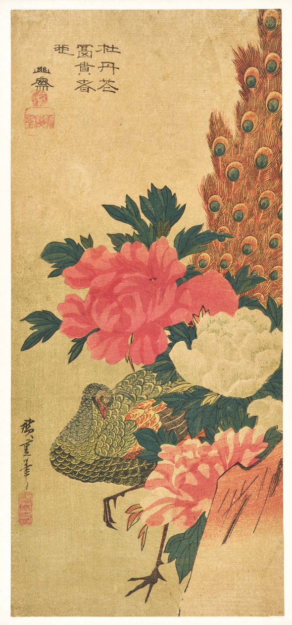 Bazsarózsák és páva alkotó: Utagawa Hiroshige