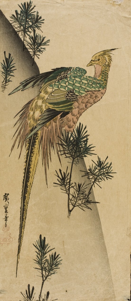 Fácán fenyőhajtások között alkotó: Utagawa Hiroshige