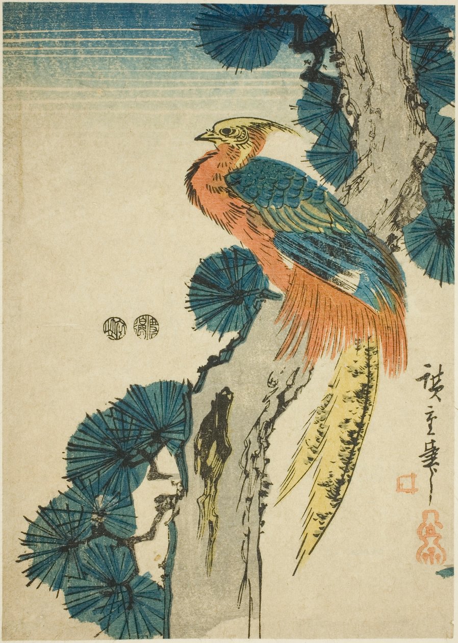 Fácán és fenyőfa alkotó: Utagawa Hiroshige