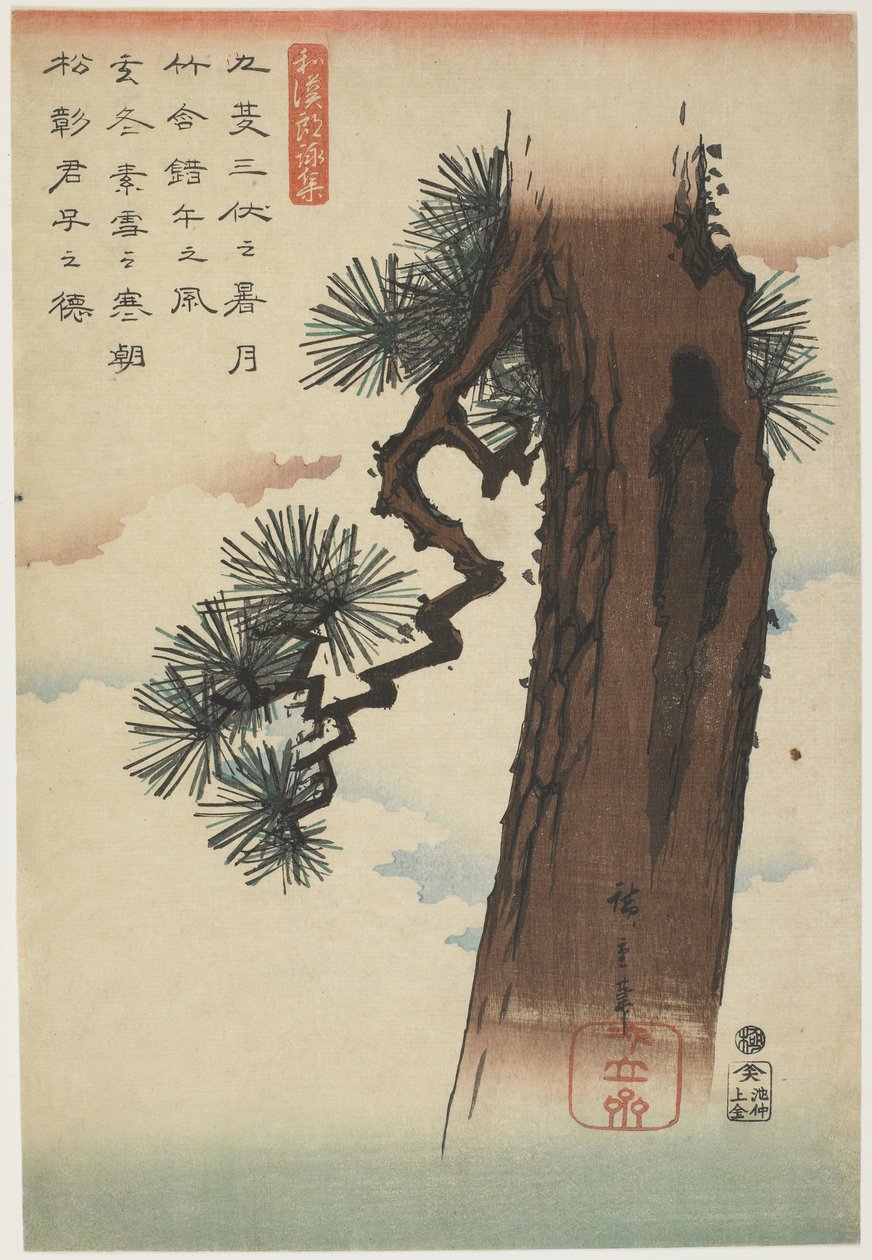 Fenyőfa, 1837-1844 (színes fatömb nyomat) alkotó: Utagawa Hiroshige