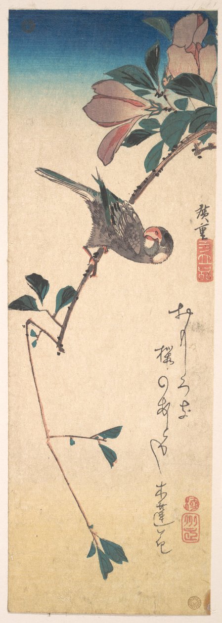 Purpurmagnolie und Hornvogel alkotó: Utagawa Hiroshige