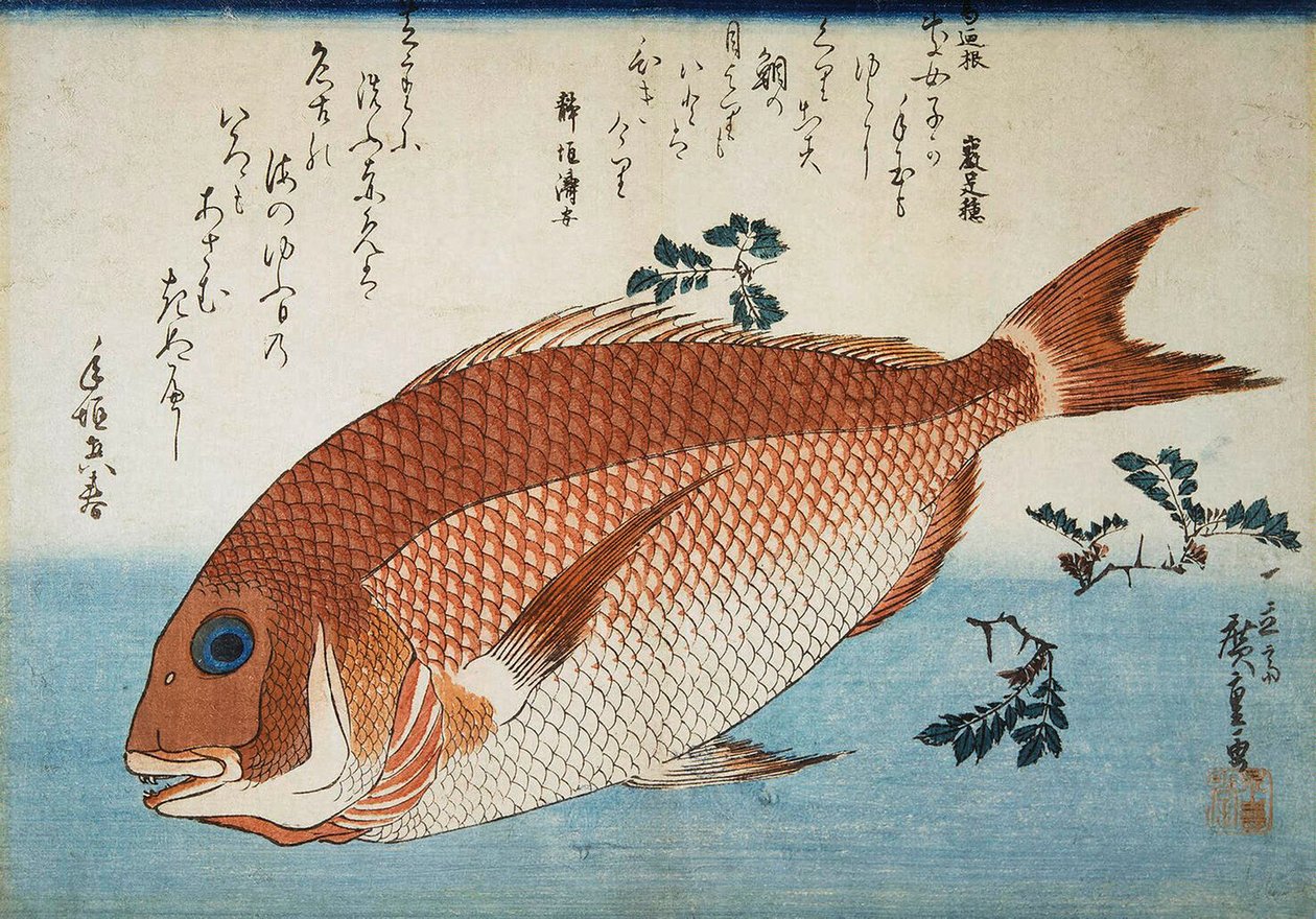 Vörös-tengeri keszeg, 1832-1834. alkotó: Utagawa Hiroshige