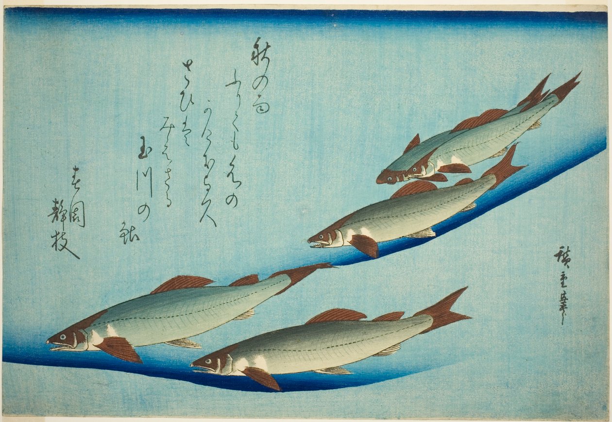 Folyami pisztráng alkotó: Utagawa Hiroshige