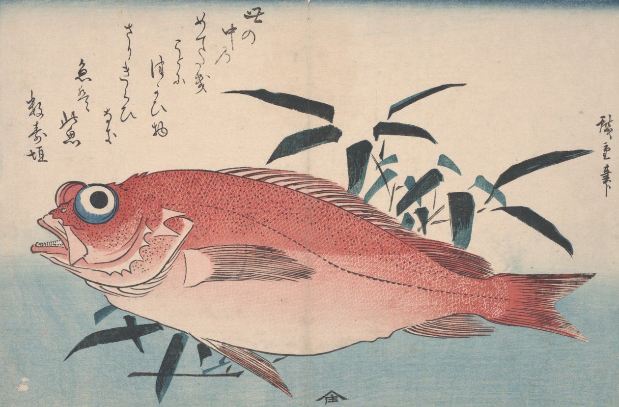 Tengeri keszeg és bambuszfű, 1840 alkotó: Utagawa Hiroshige
