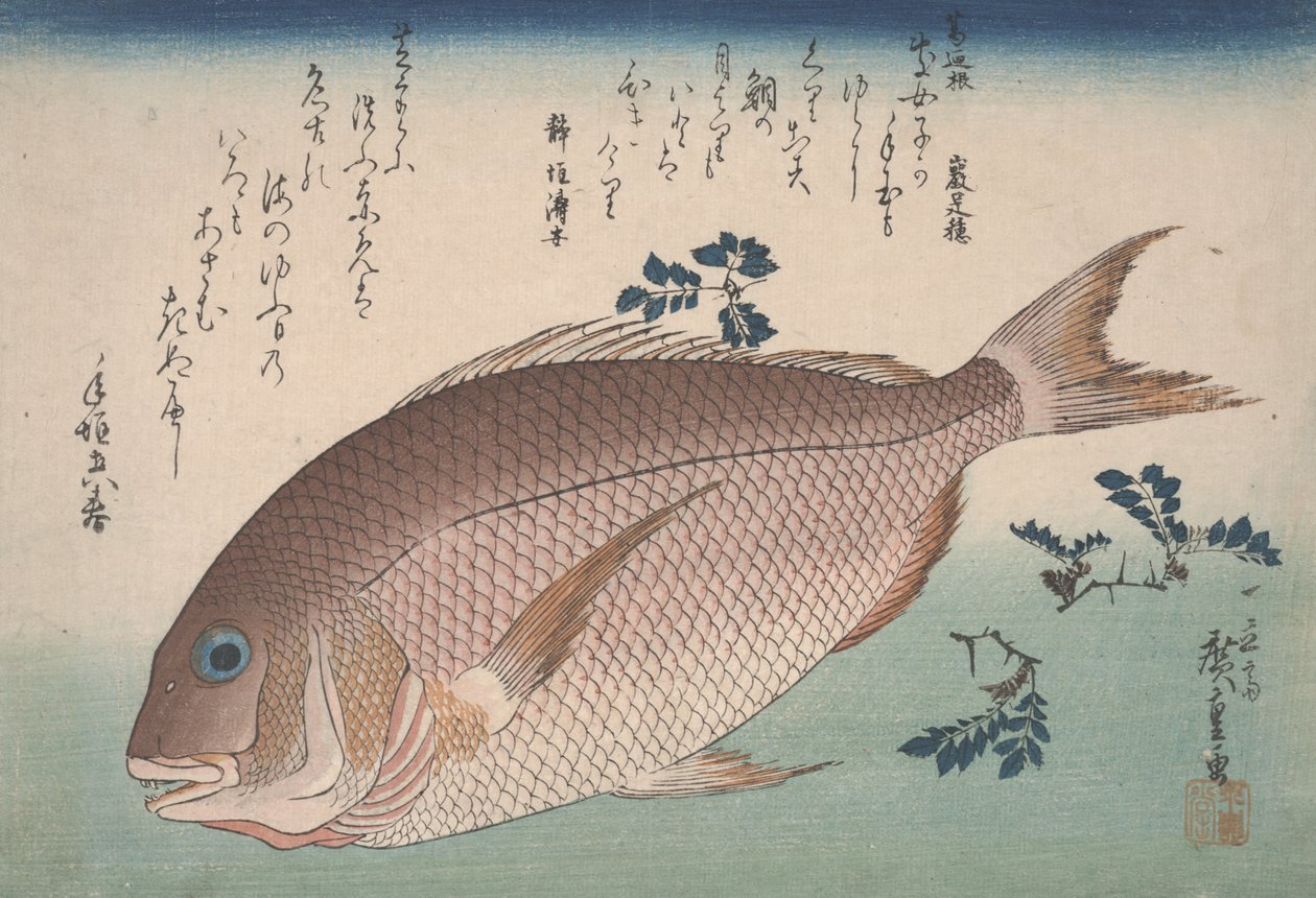 Tengeri keszeg és szansho bors, 1830 körül alkotó: Utagawa Hiroshige