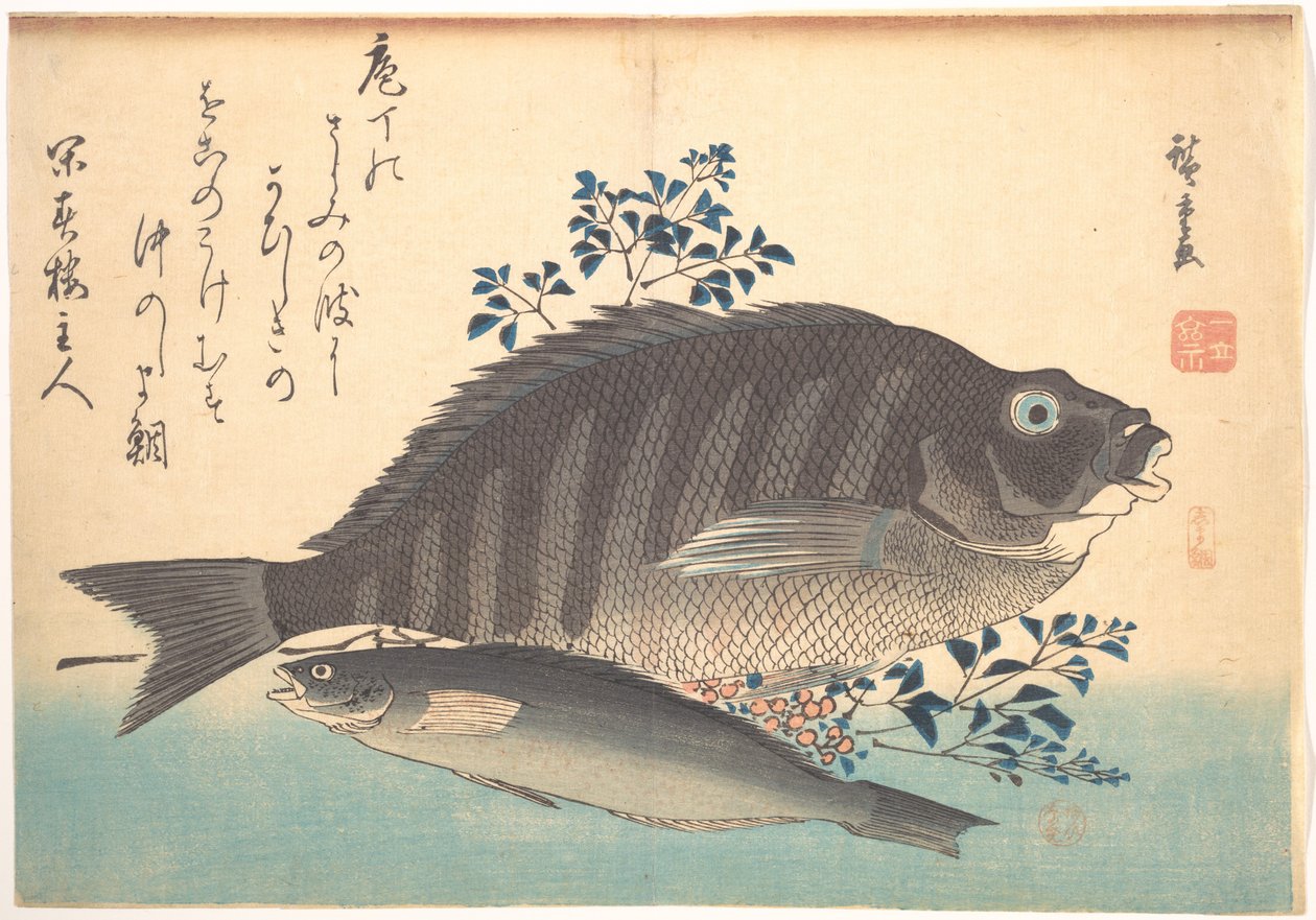 Simadai- és ainamehalak, az Uozukushi (Mindenféle hal) című sorozatból alkotó: Utagawa Hiroshige