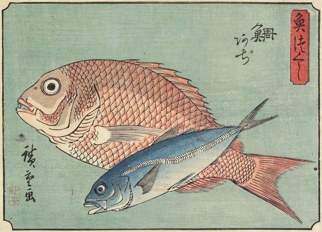 Snapper és fattyúmakréla, 1830-1844 alkotó: Utagawa Hiroshige