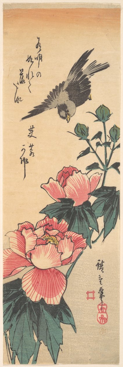 Veréb és hibiszkusz alkotó: Utagawa Hiroshige