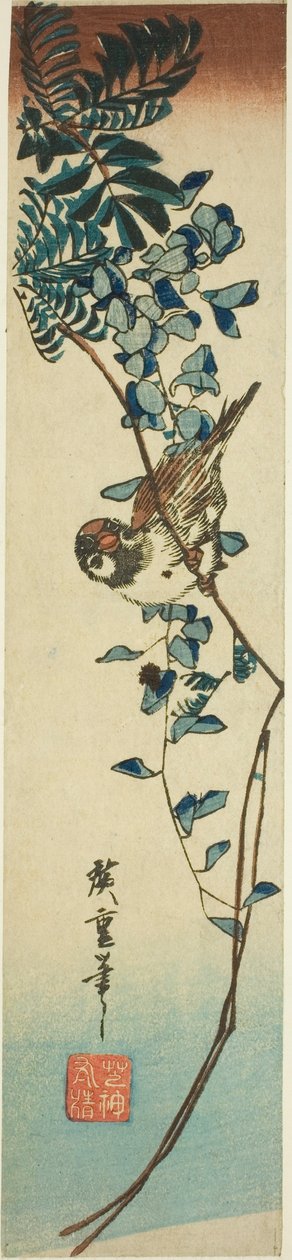 Sparrow és wisteria alkotó: Utagawa Hiroshige