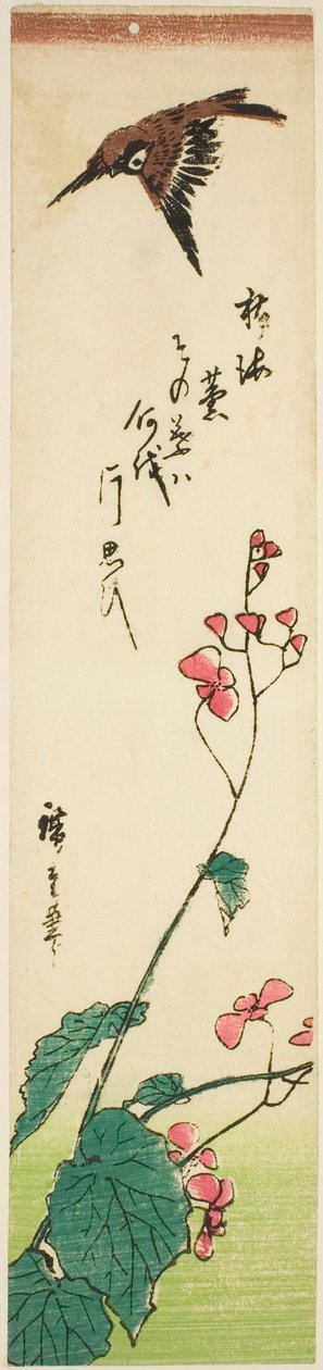 Begónia felett repülő veréb alkotó: Utagawa Hiroshige