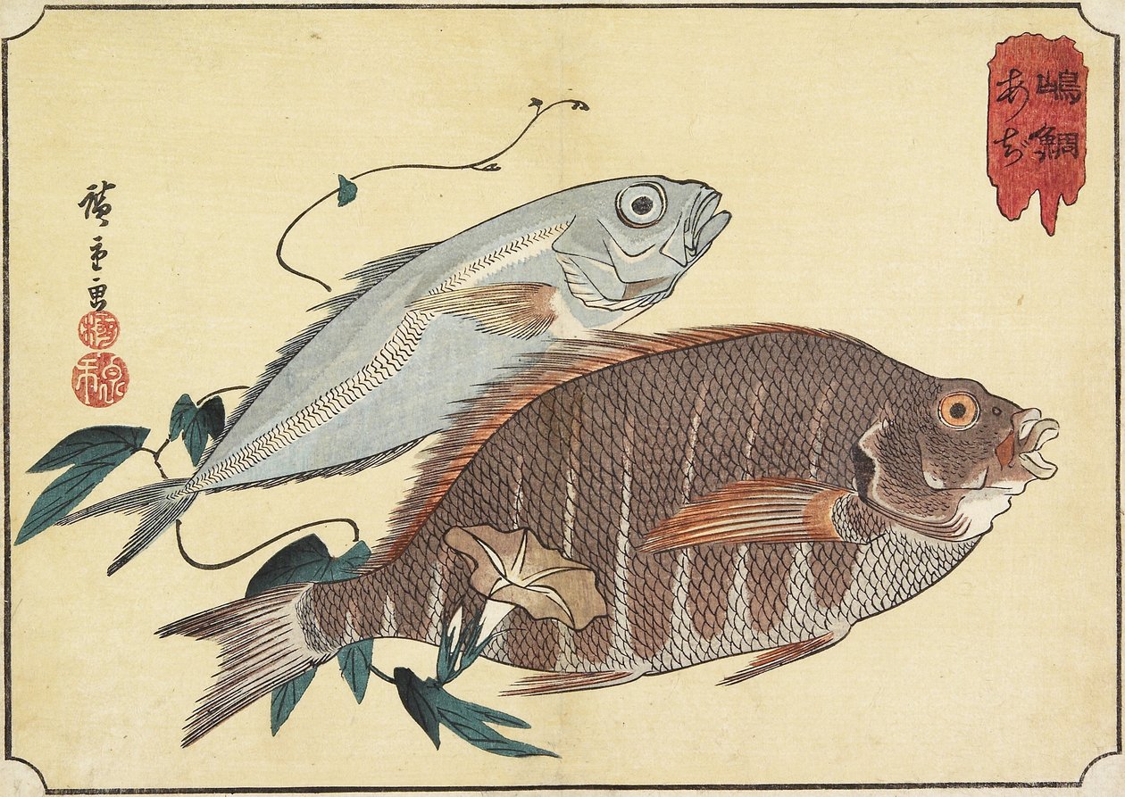Csíkos snapper és fattyúmakréla, 19. század eleje alkotó: Utagawa Hiroshige