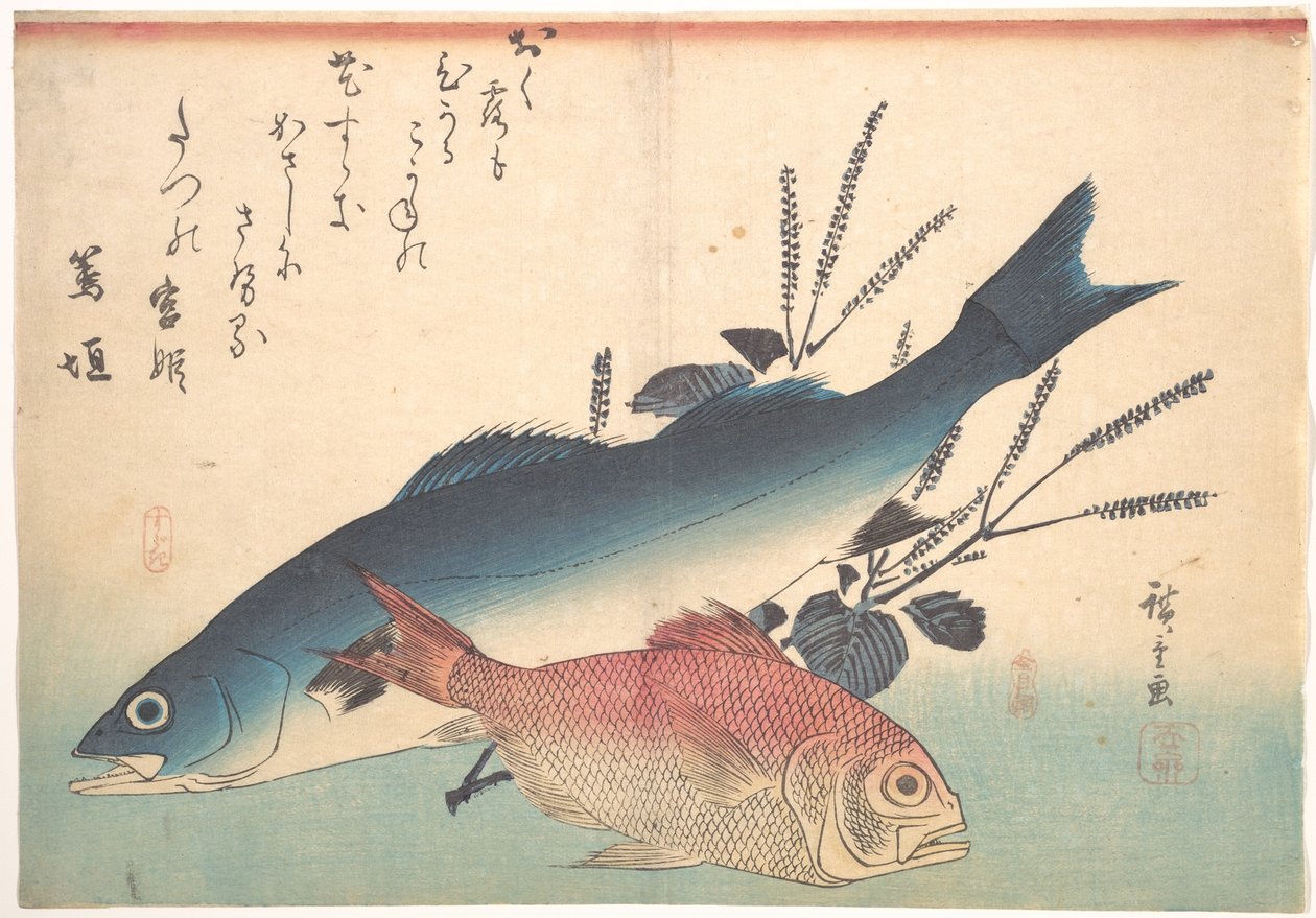 Suzuki- és kinmedaihalak az Uozukushi (Mindenféle hal) sorozatból alkotó: Utagawa Hiroshige