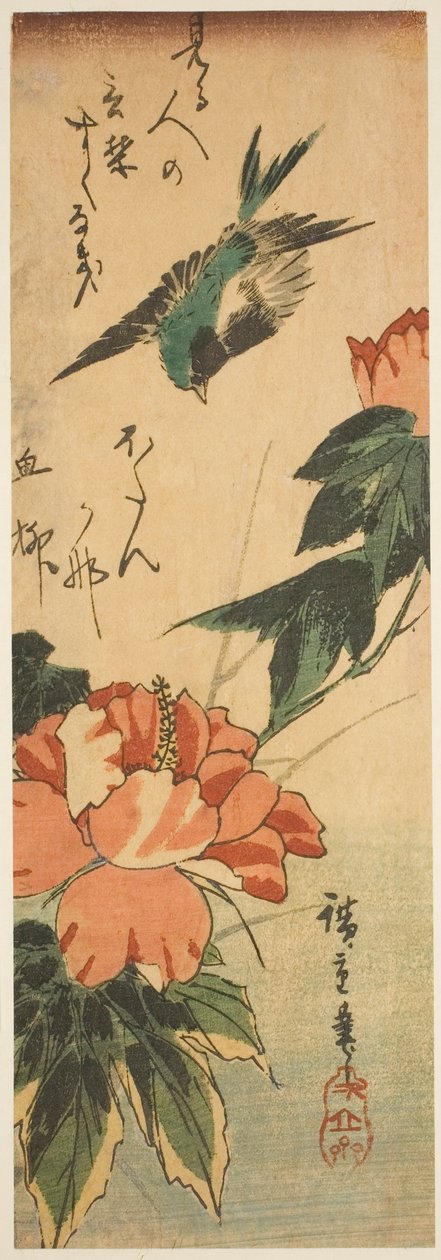 Fecske és hibiszkusz alkotó: Utagawa Hiroshige