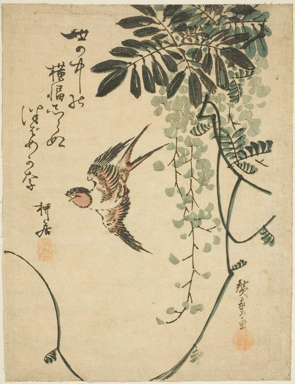 Fecske és wisteria alkotó: Utagawa Hiroshige