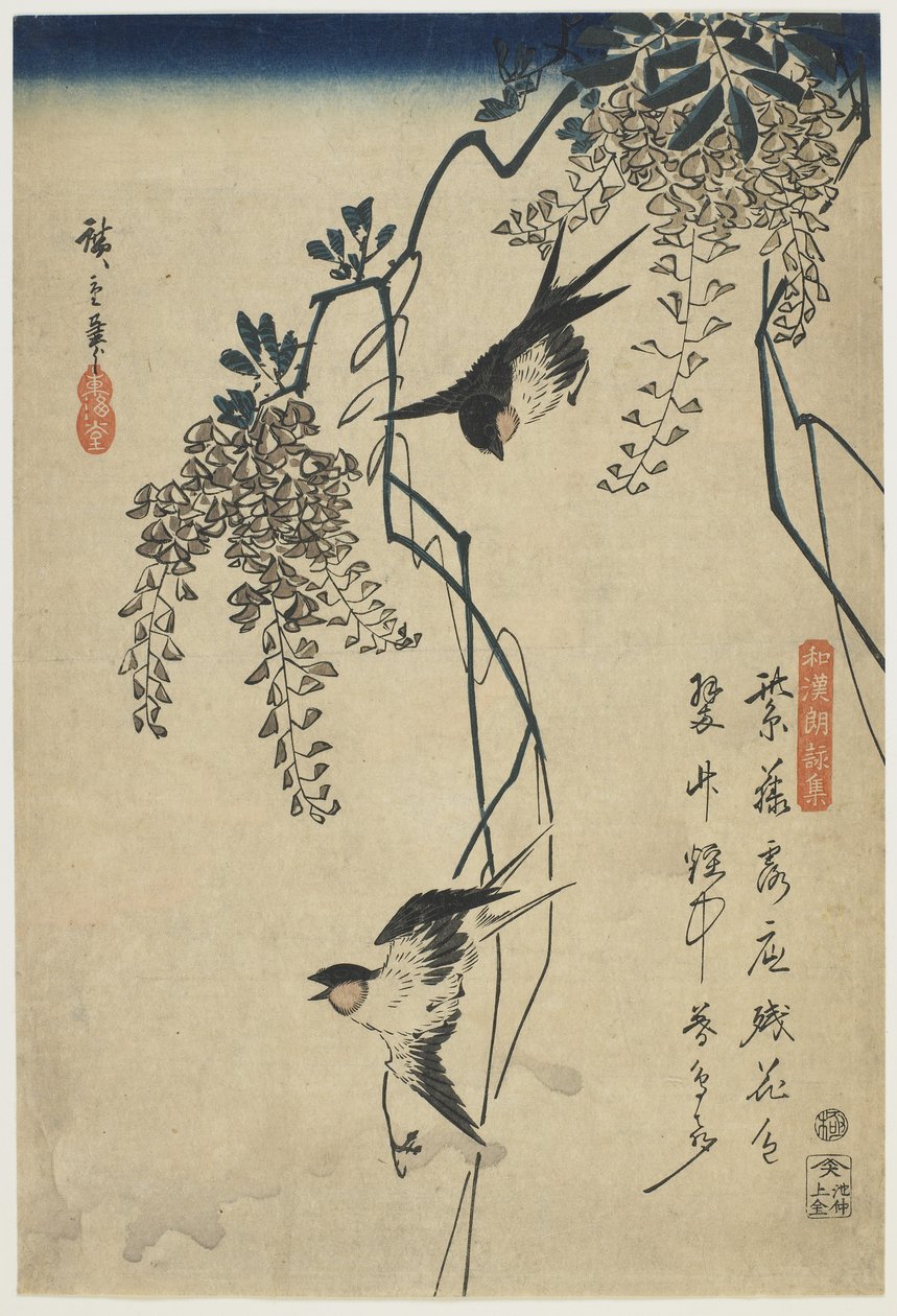 Fecskék repülnek a Wisteria Vinesben, 1837-44 (színes fatömbnyomat) alkotó: Utagawa Hiroshige