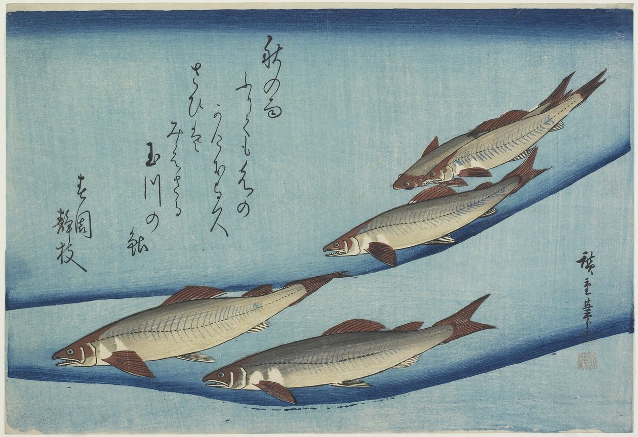 Sweetfish, 1832-1833 alkotó: Utagawa Hiroshige