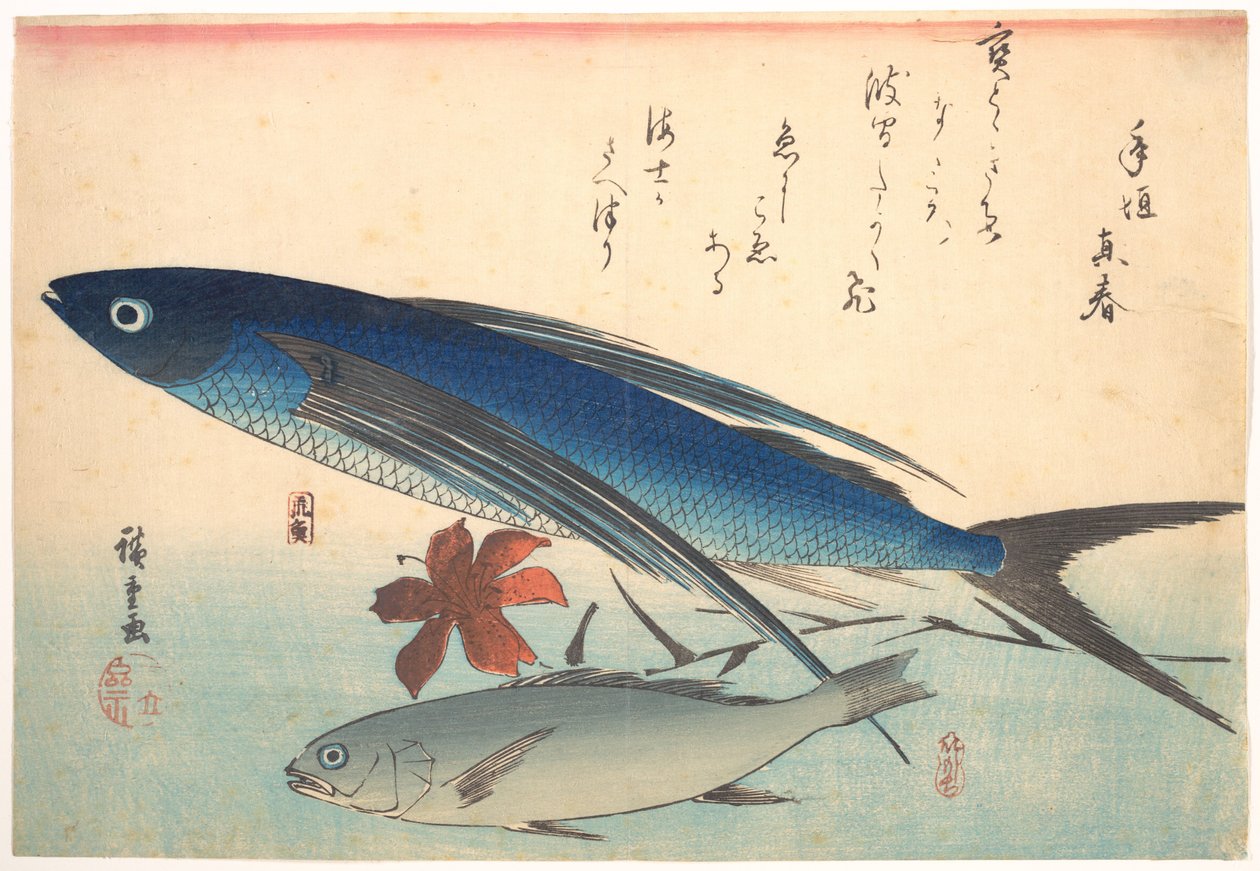Tobiuo- és ishimotchi-hal, az Uozukushi (Mindenféle hal) sorozatból alkotó: Utagawa Hiroshige